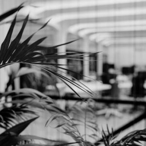 desarrollo rpa Vitoria Euskadi desarrollo rpa Vitoria Euskadi